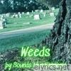 Weeds - Single