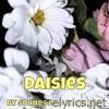 Daisies - Single