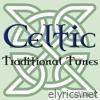 Celtic Traditional Tunes, Vol. 2