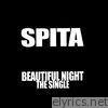 Beautiful Night - Single
