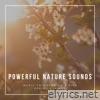 Powerful Nature Sounds - Music to Listen on a Fine Spring Evening