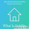 What Is Stability - Open Minded Sleep Remedies Natural Mood Music with Instrumental New Age Soothing Sounds