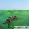Bright Green Field