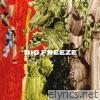 Big Freeze - Single