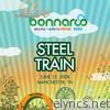 Live from Bonnaroo 2008: Steel Train