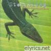 Stony Sleep - Music for Chameleons