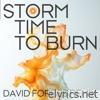 Time to Burn (David Forbes Remix) - Single