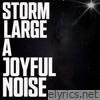 A Joyful Noise