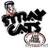 Stray Cats - Live from Europe: Luzern July 27, 2004