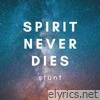 Spirit Never Dies
