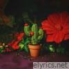 Christmas Cactus - Single