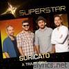 Superstar - Suricato - A Trajetória