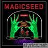 Magic Seed (feat. Omid Pakdel) - Single