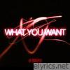 WHAT YOU WANT - Single