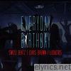 Swizz Beatz - Everyday Birthday (feat. Chris Brown & Ludacris) - Single