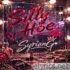 Silly Hoe - Single
