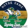 Fightin irish - Single