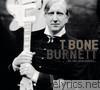 T Bone Burnett - The True False Identity