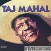 Songs for the Young At Heart: Taj Mahal
