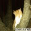 5 / 3 Cat in Da Tree - EP