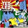 Ted Leo & The Pharmacists - Shake the Sheets