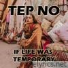 If Life Was Temporary - Single