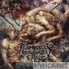 Terminally Your Aborted Ghost lyrics