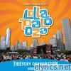 Live at Lollapalooza 2009: Thievery Corporation