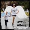Little Wings EP