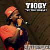 The Tiggy-Tionary