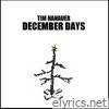 Tim Hanauer - December Days