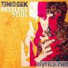 Tingsek - Restless Soul (Bonus Track Version)