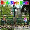 Birds Birds Birds - Single