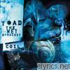 Toad The Wet Sprocket - Coil