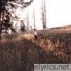 Old Man - Single