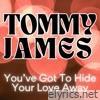 YOU'VE GOT TO HIDE YOUR LOVE AWAY - Single