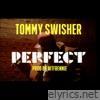 Perfect - Single