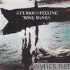 Tony Banks - A Curious Feeling