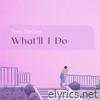 What'll I Do - Single