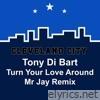 Turn You Love Around (Mr Jay Remix) - Single