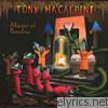 Tony Macalpine - Master of Paradise