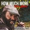 How Much More - Single
