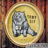 Tony Sly - Sad Bear