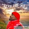 Pray For Me (feat. Mjhanks) - Single