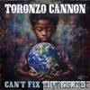 Can't Fix the World - Single