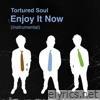 Enjoy It Now (Instrumental) - Single
