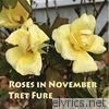Roses in November