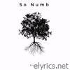 So Numb - Single