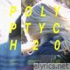 Polyptych20 / Circumvention - EP