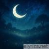 Magical Night - Single